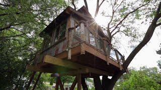 Rusty Rooted River Shack Treehouse