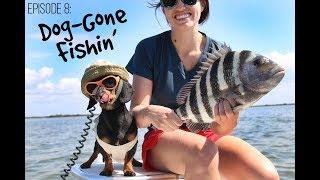 Episode 8 (Finale): Dog-Gone Fishin'