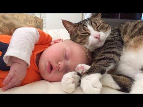 When Adorable Children and Cats Growing Up Together