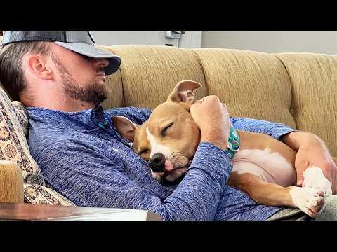 This Dog's Cuddles Won Over Even The Most Reluctant Human #Video