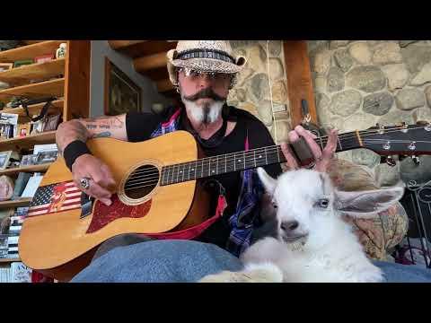 Baby Goat Chilling to some Live music #Video