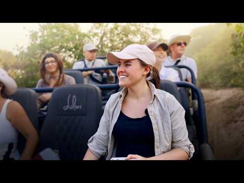 Realistic 48 Hours on Safari in Zambia #Video