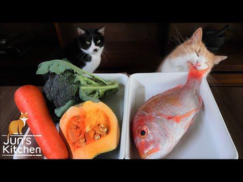 Homemade Cat Food (Fish Jelly Terrine) #Video