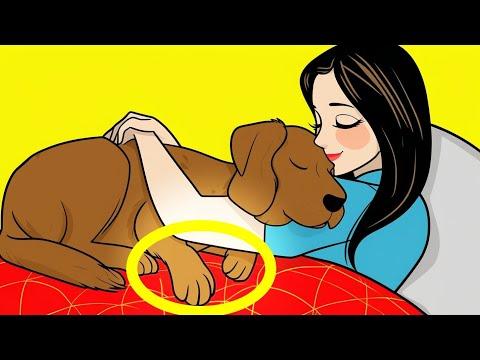 If Your Dogs Do THIS, They Love You More Than You Think! #Video