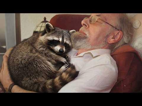 When Animals Believe Grandpa's House Is Their Paradise #Video