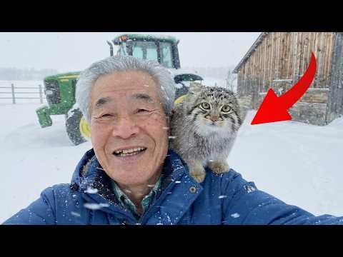 I Found a Frozen Kitten Under My Tractor... Now He Runs The Farm