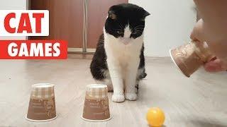 Cat Games | Playful Cats Video Compilation