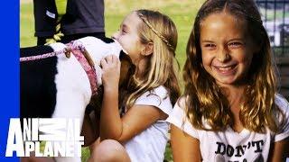 Tia Finds The Perfect Best Friend For A Little Girl In Need | Pit Bulls & Parolees