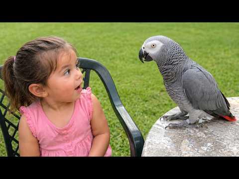 When a PARROT Gets TOO Curious… | FUNNIEST Parrots Video #Video