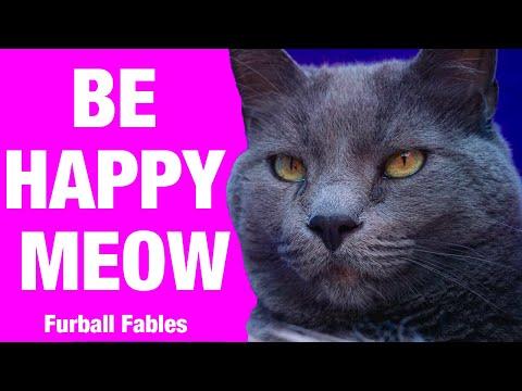 Think Pawsitive Be Happy Meow Video