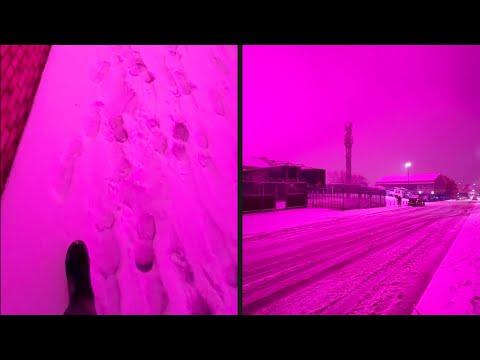 When Everything Turned Pink | YOUR Daily Dose of Internet #Video