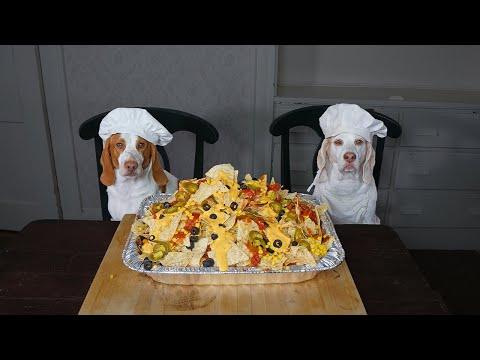 Chef Dog Makes Nachos: Funny Dogs Maymo & Potpie Cooking Nacho Recipe