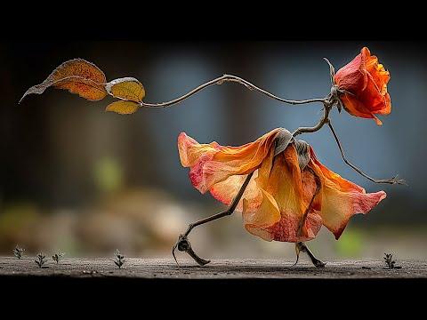 LIKE HER | AI Animated Video Art | Mamta B. Herland #Video