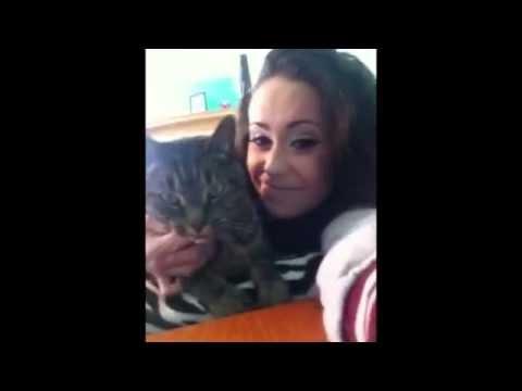 Angry Kitty Doesn't Like Selfies
