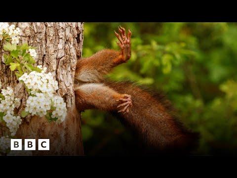 The 10 funniest animal photos of the year #Video