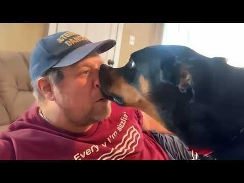 When You Have Comedian Dog #Video