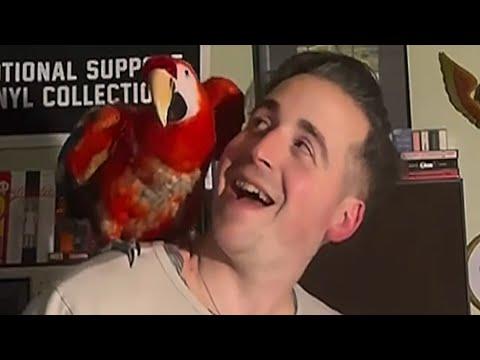 Abandoned macaw is so happy to be adopted #Video