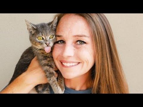 This cat was dumped on the street. Then she met a good human. #Video