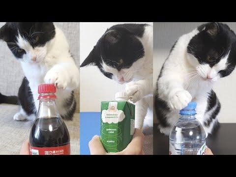 Fluffy Bottle Opener Video