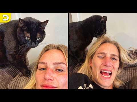 Her Cat Betrayed Her | YOUR Daily Dose of Pets #Video