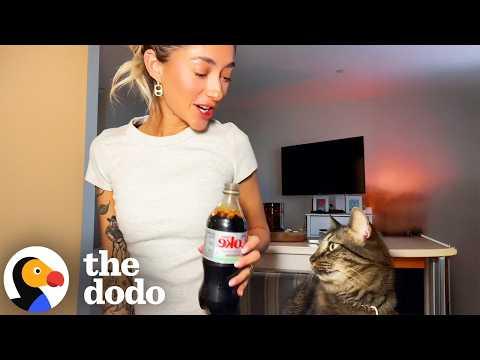 Who Needs a Boyfriend When You Have Boy Cat? #Video