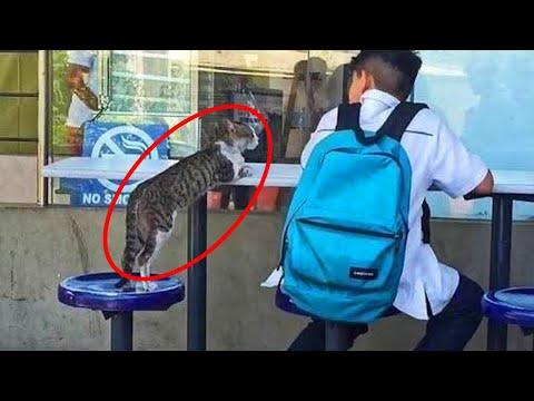One of my best friends is named Cat #Video