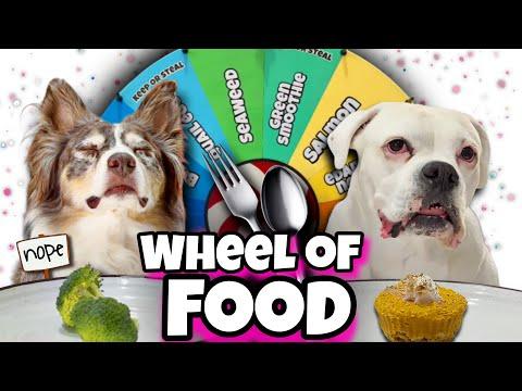 My Dogs Competed in the Wheel of Food! (with some questionable foods) #Video
