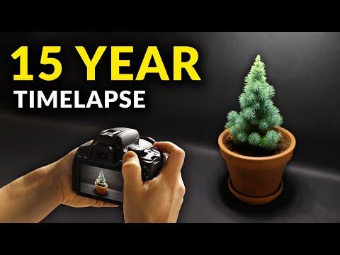 I Filmed Plants For 15 years | Time-lapse Compilation #Video