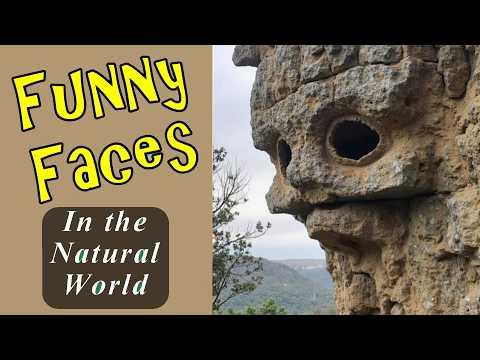 Funny Faces In The Natural World #Video