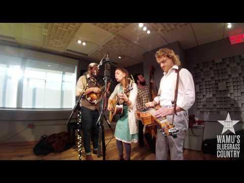 Lindsay Lou & The Flatbellys - The Fix [Live At WAMU's Bluegrass Country]