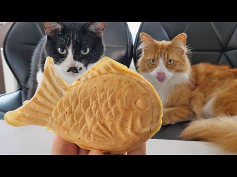 Taiyaki (Japanese fish-shaped cake) JunsKitchen #Video