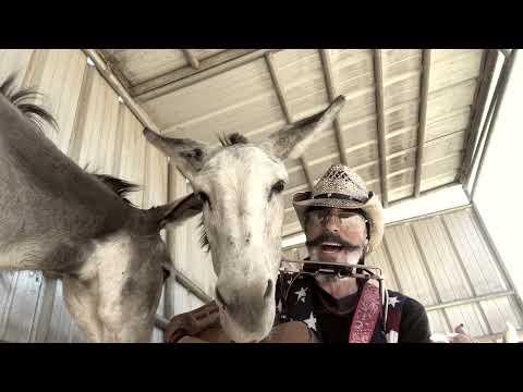 Hazel the Donkey Amazing Grace #Video