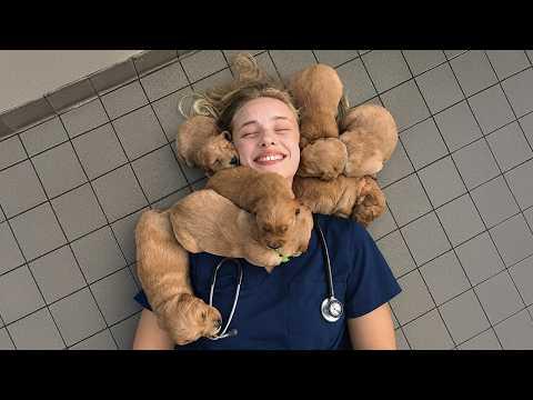 When Your Dogs Can't Contain Their Excitement at the Vet #Video