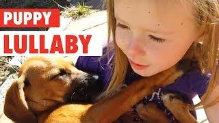 Little Girl Sings Rescue Dog Lullaby | Puppy Love