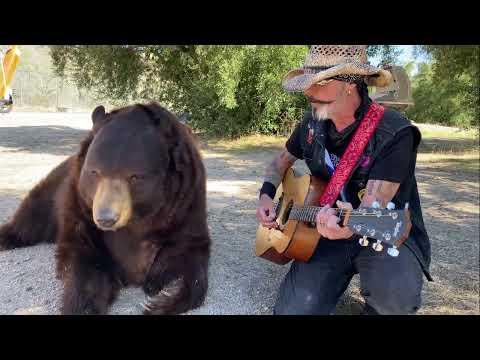 Animal Crackers. Music for Animals and the Soul #Video