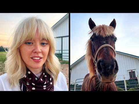 Horse Wanted To Look Like Her | YOUR Daily Dose of Pets