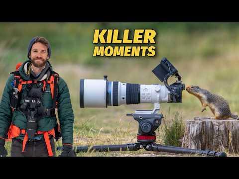 WILDLIFE PHOTOGRAPHY of SMALL ANIMALS - SHARP PRO IMAGES using the OM-1 Mark ii. #Video