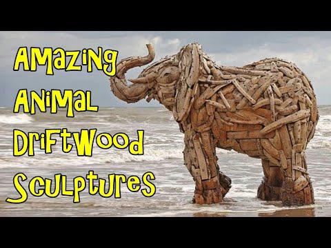 Amazing Animal Driftwood Sculptures #Video
