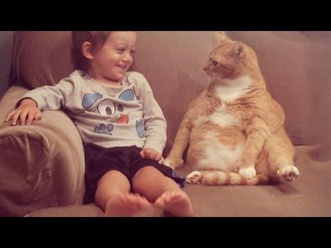 When your child and cat share a home, their love is unconditional #Video