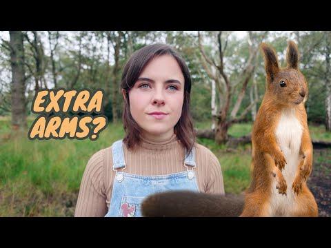 I Search for the Mutant Red Squirrels on Mysterious Islands... #Video