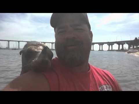 Seal Jumps On Guy's Boat And Makes A Friend