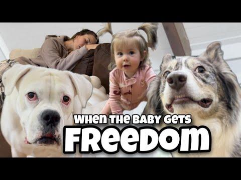 When the Baby Gets Freedom - Layla The Boxer #Video