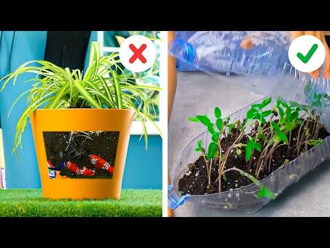 Plant Parenthood: Hacks for Keeping Your Greenery Thriving  #Video