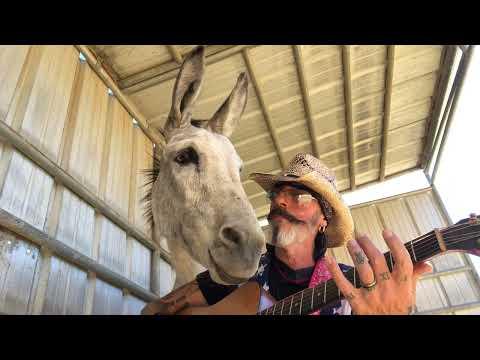Hazel the Donkey demands to hear some Johnny Cash classics #Video