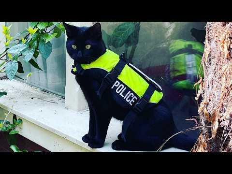 The Bravest Member of the Police Team #Video