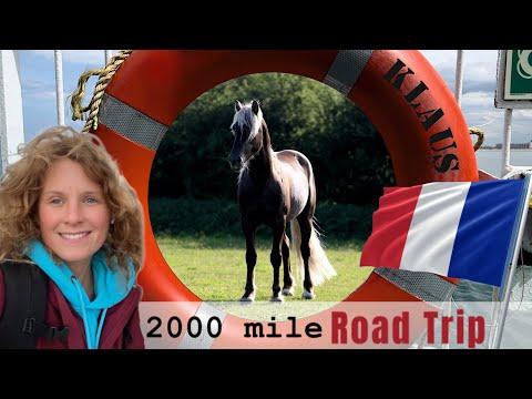 2000 Mile Road Trip to Collect Klaus! Emma Massingale #Video