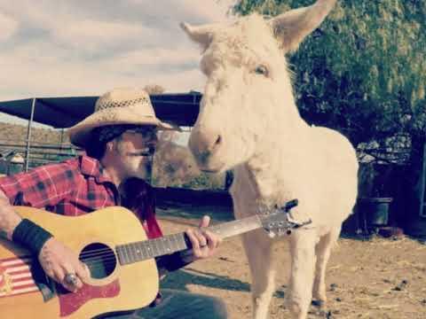 Heaven the donkey loves the song Black Water #Video