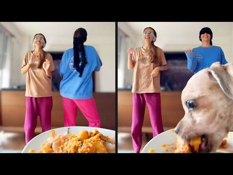 They Saw an Opportunity | Daily Dose Of Pets #Video