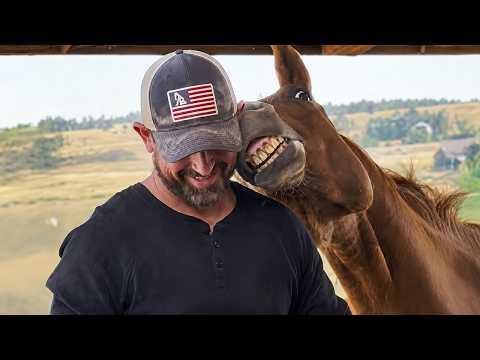 When Your Horse Loves You and You're Attached at the Hip! #Video