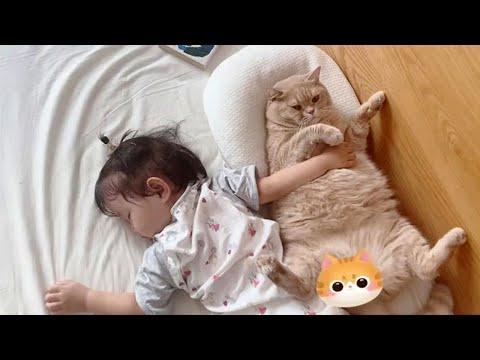 Little Girl Bonding With Her Cat Will Bring You Joy #Video